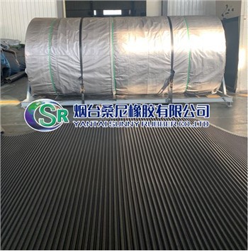 Ċinturin tal-Gomma Orizzontali Għall-Filtri taċ-Ċinturin tal-Vakwu DU