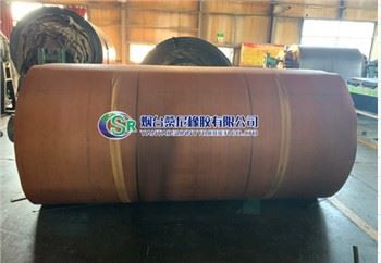 Ċineg tal-Lastiku Reżistenti għaż-Żejt Bil-Qoxra ta 'fuq Biss